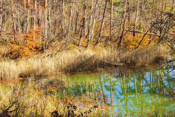 日本の風景・秋　福島県裏磐梯　紅葉の五色沼湖沼群　赤沼　