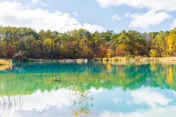 日本の風景・秋　福島県裏磐梯　紅葉の五色沼湖沼群　弁天沼　