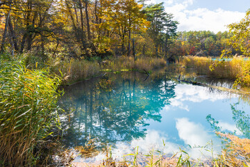 日本の風景・秋　福島県裏磐梯　紅葉の五色沼湖沼群　弁天沼　