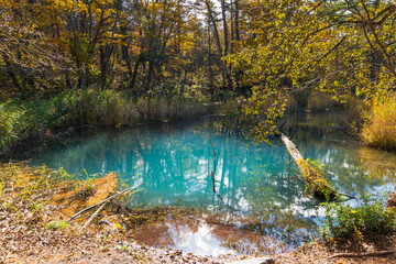 日本の風景・秋　福島県裏磐梯　紅葉の五色沼湖沼群　弁天沼　