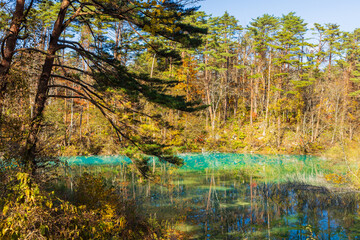 日本の風景・秋　福島県裏磐梯　紅葉の五色沼湖沼群　青沼