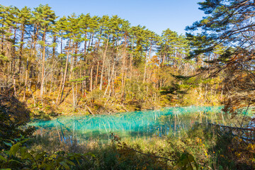 日本の風景・秋　福島県裏磐梯　紅葉の五色沼湖沼群　青沼