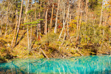 日本の風景・秋　福島県裏磐梯　紅葉の五色沼湖沼群　青沼