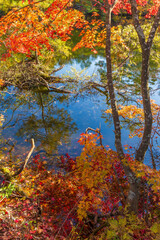 日本の風景・秋　福島県裏磐梯　紅葉の五色沼湖沼群　母沼