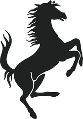 Fototapeta premium black horse isolated on white