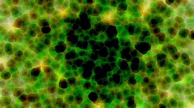 Dynamic abstract motion background featuring organic cellular shapes and flowing liquid light. Soft glowing colors blend smoothly, creating a modern, futuristic and dreamy atmosphere. Perfect for moti