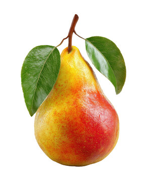 Close-up of a ripe pear with leaves and stem isolated against a black background