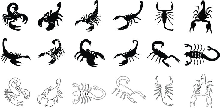 Assortment of scorpion silhouettes, from detailed illustrations to simplified outlines