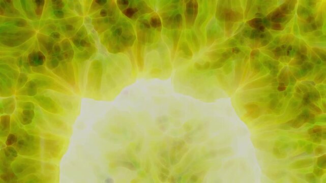 Dynamic abstract motion background featuring organic cellular shapes and flowing liquid light. Soft glowing colors blend smoothly, creating a modern, futuristic and dreamy atmosphere. Perfect for moti