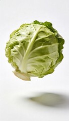 Fresh green cabbage head floating in studio with soft shadow on white background