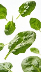 Fresh green spinach leaves floating in the air against a clean white background