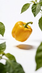 Bright yellow bell pepper suspended in air with green leaves and soft shadow