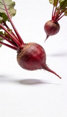 Two fresh red beets with green leaves and red stems on a white background