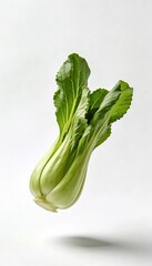 Fresh bok choy vegetable isolated on a clean white background with soft shadow