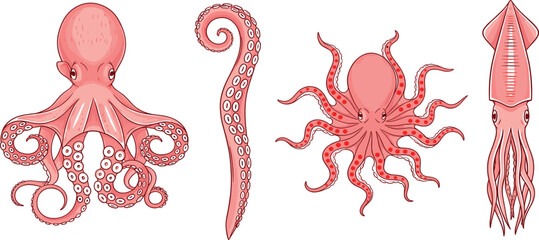 Collection of pink octopus and squid illustrations featuring various swimming poses, a coiled tentacle, and detailed suction cups isolated on white background. © MDRIFAT