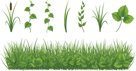 Collection of vibrant green garden plants featuring various grass patches ivy vines clovers and cattails isolated on white background. © MdGohurul