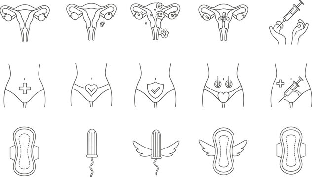 Comprehensive vector line icon set featuring female reproductive system anatomy, uterine health symbols, menstrual care products like pads and tampons, and medical wellness indicators.