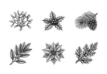 Obraz premium Vintage engraving of winter holiday botanical elements including holly, mistletoe, poinsettia, and pine branches for Christmas and seasonal decor.