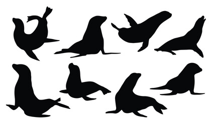 Set of seal silhouettes in various poses, perfect for marine and aquatic themes © Rifat