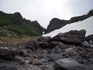 Mt.Asahi-dake, snow&flowers
