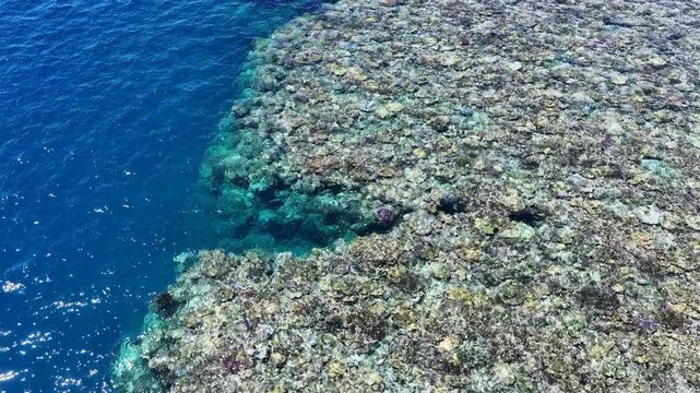 A shallow coral reef is found in the midst of the Bligh Channel in Fiji. Fiji's coral reefs support high marine biodiversity and are a popular destination for scuba divers and snorkelers.