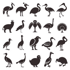 Fototapeta premium Silhouette Illustration of Various Bird Species on a White Background