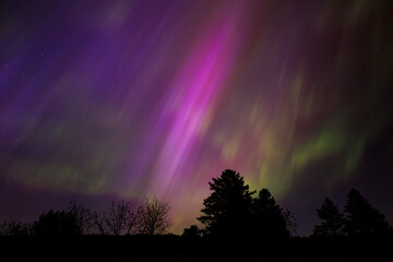 Northern Lights 8
