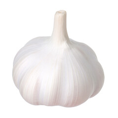 One fresh garlic bulb isolated on white