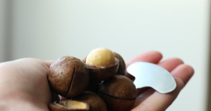Woman holding macadamia nuts and metal key on light background, closeup