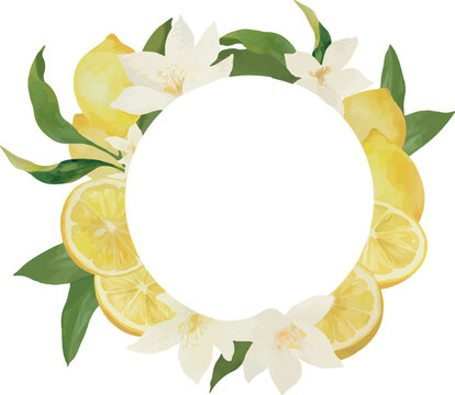 Lemon Fruit and Blossom Botanical Frame Watercolor Vector Illustration