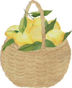 Watercolor Basket of Lemons Vector Illustration