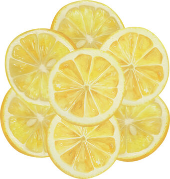 Watercolor Lemon Slices and Wedges Isolated Vector Illustration