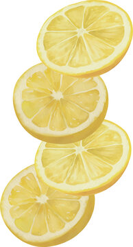 Watercolor Lemon Wedges Isolated Vector Illustration