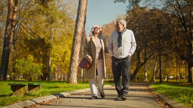 Elderly couple enjoying a leisurely autumn walk in a park, holding hands and smiling