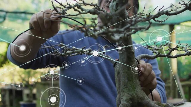 Vertical video: Man wiring bonsai and shaping branches while overlay nodes multiply over hands