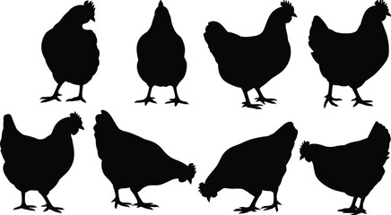 Collection of Black Chicken Silhouettes in Various Poses on White Background untitled © Mst