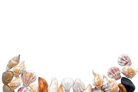 sea shells frame