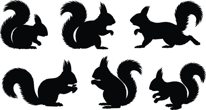 Six Black Silhouettes of Squirrels in Various Poses on a White Background animal wildlife