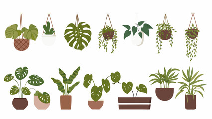 Collection of stylized hanging and potted houseplants in varying shades of green © Amrita