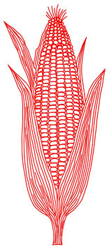 A red outline drawing of an ear of corn on a black background