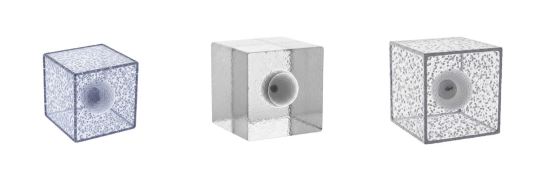Cuboidal epithelial cell isolated on white background, cube-shaped epithelial cell, 立方上皮細胞 (Rippō Jōhi Saibō), Kubisches Epithel, human kidney and gland lining, secretory cell, barrier function, micro