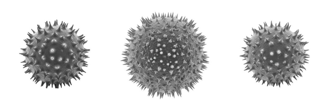 T-helper cell isolated on white background, CD4+ immune cell, ヘルパーT細胞 (Herupā T Saibō), T-Helferzelle, human adaptive immune cell, cytokine-secreting lymphocyte, immune signaling cell, microscopic lym
