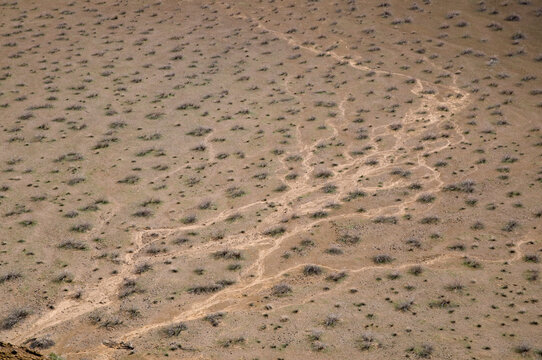 Mexico, Sonora, Rocky Point, Puerto Penasco.  Pinacate Biosphere Reserve.  Interior of Cerro Colorado volcanic crater