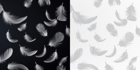 Floating feathers isolated on black background, soft bird feathers drifting in air, lightweight plume particles, avian feather fall effect for nature, wildlife and decorative design elements © Margary