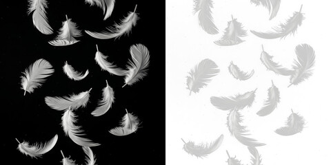 Floating feathers isolated on black background, soft bird feathers drifting in air, lightweight plume particles, avian feather fall effect for nature, wildlife and decorative design elements © Margary