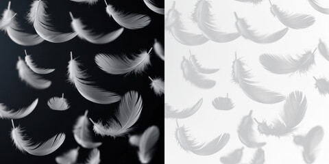Floating feathers isolated on black background, soft bird feathers drifting in air, lightweight plume particles, avian feather fall effect for nature, wildlife and decorative design elements © Margary
