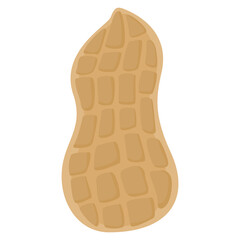 peanut illustration