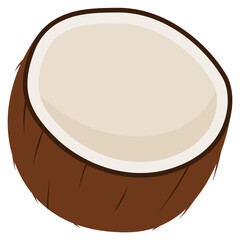 illustration of coconut