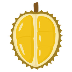 durian illustration 