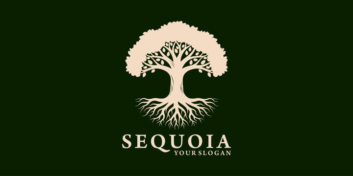 giant sequoia logo design inspiration